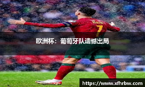 欧洲杯：葡萄牙队遗憾出局