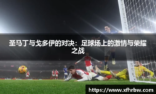 圣马丁与戈多伊的对决：足球场上的激情与荣耀之战